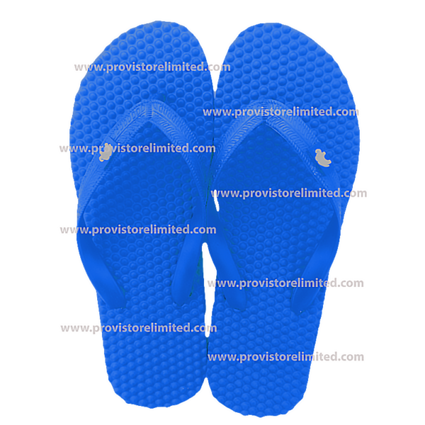 Flip Flops - Blue / Bathroom Slippers