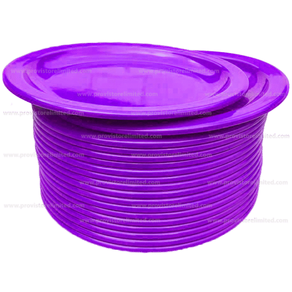 Plate - (2 in 1) Melamine / Plastic Purple