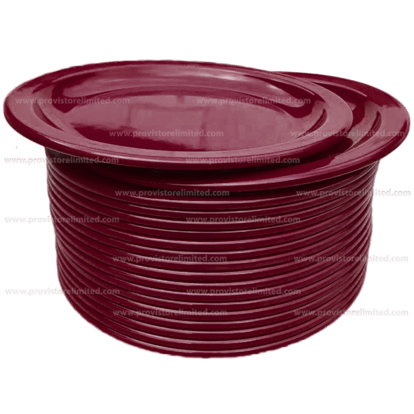 Plate - (2 in 1) Melamine / Plastic Wine